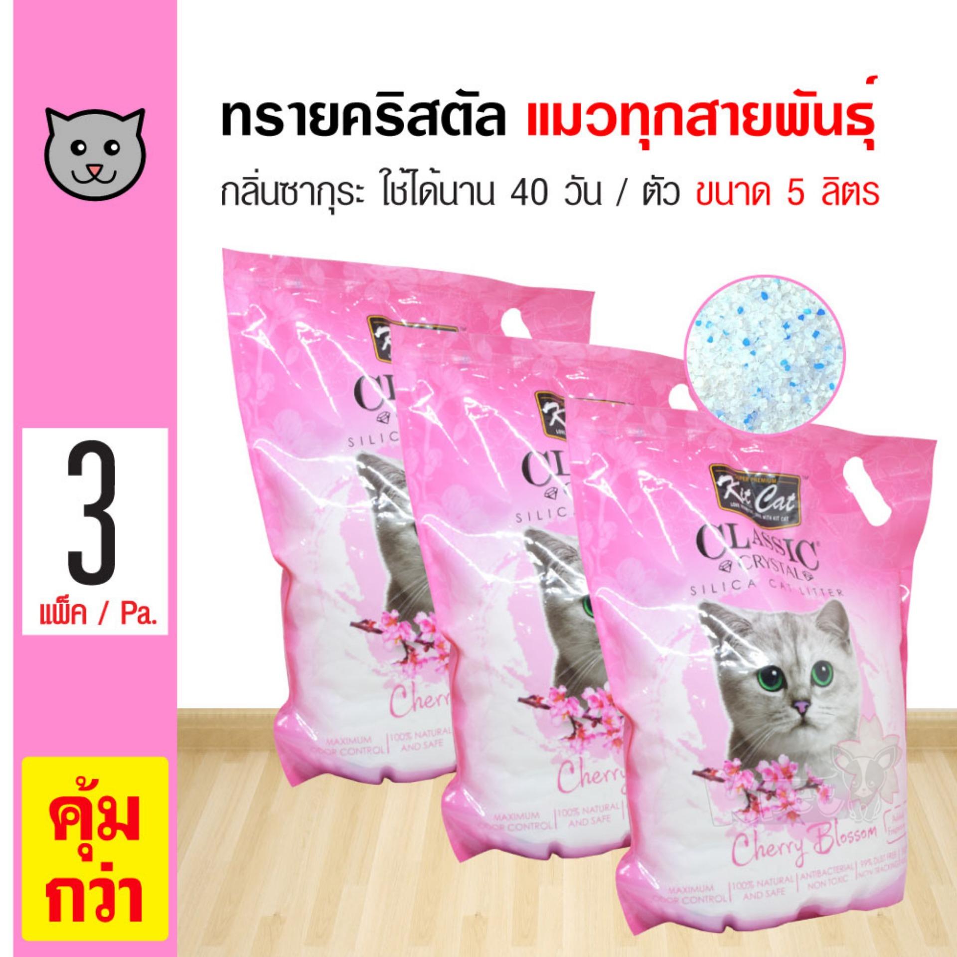 Kit Cat ทรายแมวคริสตัล กลิ่นซากุระ ทรายแมวไร้ฝุ่น ใช้ได้นาน 40 วัน สำหรับแมวทุกสายพันธุ์ (5 ลิตร/ถุง) x 3 ถุง Kit Cat ทรายแมวคริสตัล กลิ่นซากุระ ทรายแมวไร้ฝุ่น ใช้ได้นาน 40 วัน สำหรับแมวทุกสายพันธุ์ (5 ลิตร/ถุง) x 3 ถุง