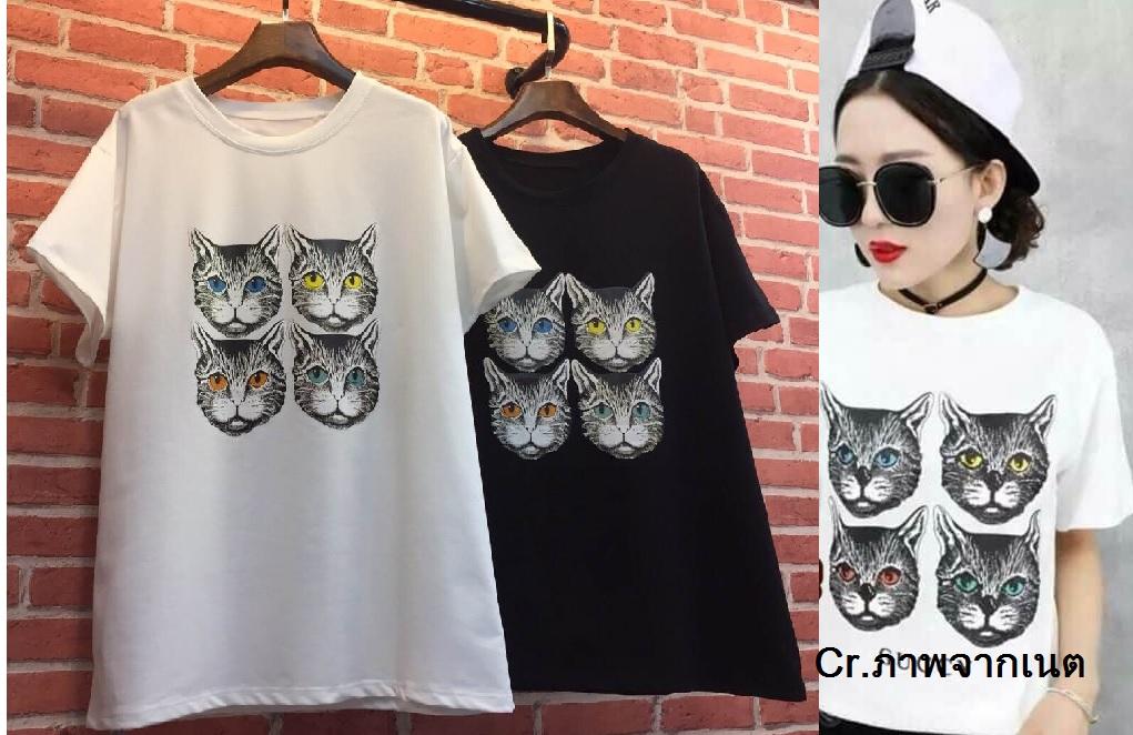 เสื้อยืดสกรีนลาย ไซส์ใหญ่ อก44 เสื้อยืดสกรีนลาย ไซส์ใหญ่ อก44