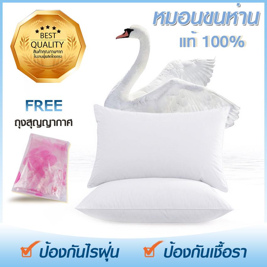 GadgetZ หมอนขนห่านแท้