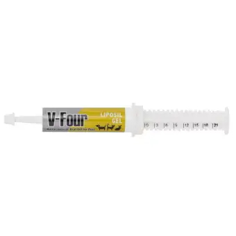 V-Four Liposil Gel อาหารเสริมวิตามินบำรุงตับ สูตรเข้มข้น สำหรับสุนัขและแมวทุกวัย สีเหลือง ขนาด 21 กรัม (1 หลอด) V-Four Liposil Gel อาหารเสริมวิตามินบำรุงตับ สูตรเข้มข้น สำหรับสุนัขและแมวทุกวัย สีเหลือง ขนาด 21 กรัม (1 หลอด)