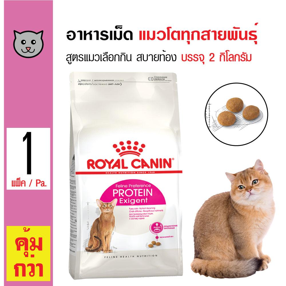 Royal Canin Protein Exigent อาหารแมว สูตรแมวเลือกกิน สบายท้อง สำหรับแมวโต 1 ปีขึ้นไป (2 กิโลกรัม/ถุง)