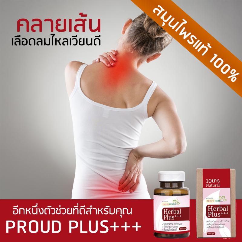 อาหารเสริม บำรุงเลือด ยาบำรุงร่างกาย ยาแก้ปวดเมื่อย สมุนไพร 100% Proud Herbal Plus+++ (1ขวด บรรจุ 60 แคปซูล)
