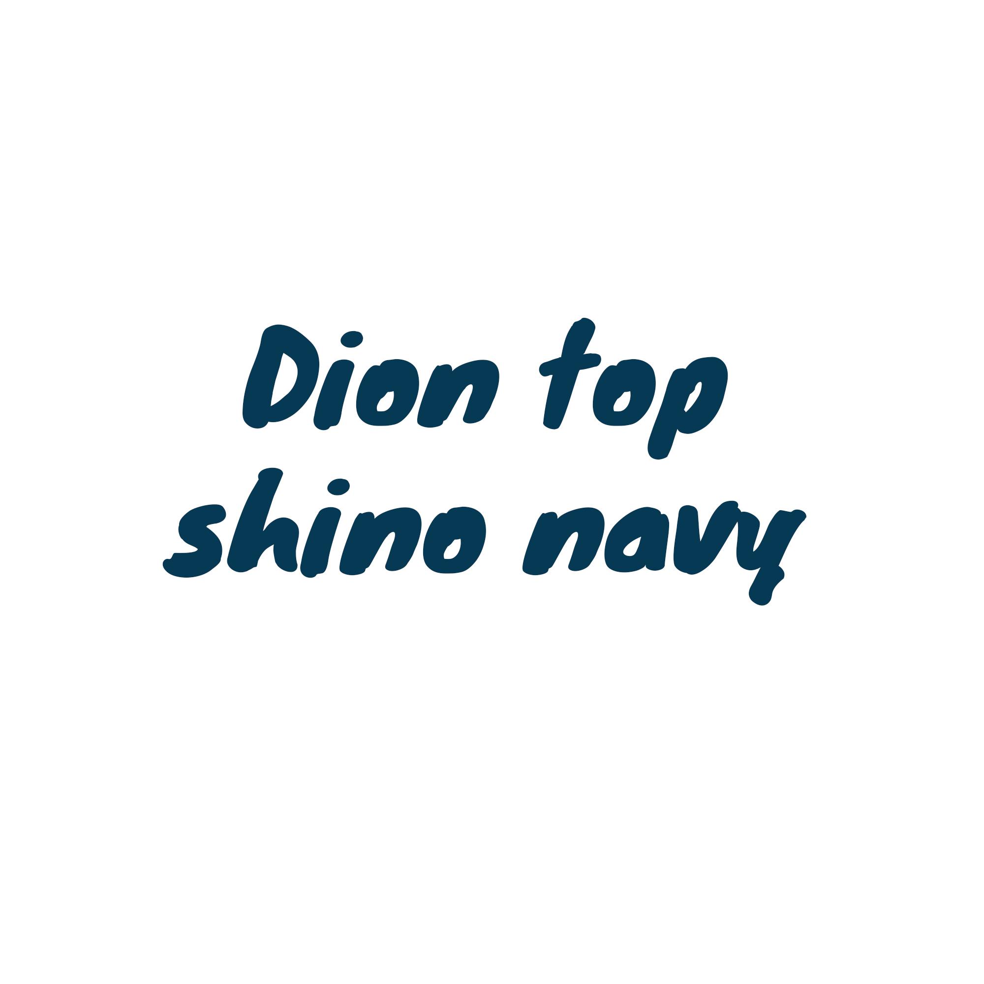 PHISARA - *พรีออเดอร์*เสื้อคอปาดดึงรูดด้านข้าง รุ่น Dion top