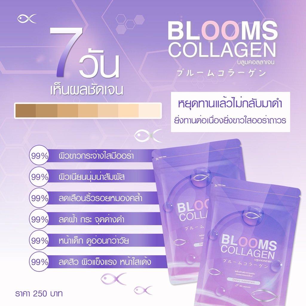 Blooms Collagen อาหารเสริมบำรุงผิว คลอลาเจนเพรียว 100% นำเข้าจากญี่ปุ่น ดูดซึมได้ดี