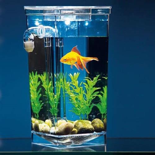 ตู้ปลากรองน้ำมหัศจรรย์ Myfun fish Tank เป็นตู้ปลาขนาดเล็ก มาพร้อมหลอดไฟ LED สีขาวส่องสว่างในเวลากลางคืนมีต้นไม้ปลอมและหินเพื่อประดับตกแต่งตู้ปลา ตู้ปลากรองน้ำมหัศจรรย์ Myfun fish Tank เป็นตู้ปลาขนาดเล็ก มาพร้อมหลอดไฟ LED สีขาวส่องสว่างในเวลากลางคืนมีต้นไม้ปลอมและหินเพื่อประดับตกแต่งตู้ปลา