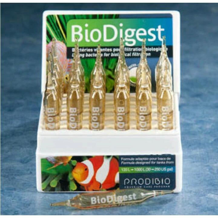 แบคทีเรียน้ำแบบหลอด ไบโอไดเจท (BioDigest) แบบชนิดขาย6หลอด แบคทีเรียน้ำแบบหลอด ไบโอไดเจท (BioDigest) แบบชนิดขาย6หลอด