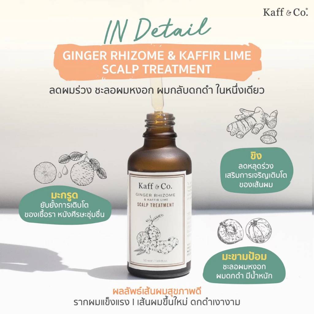 Kaff Co Ginger Rhizome Kaffir Lime Shampoo Scalp Treatment