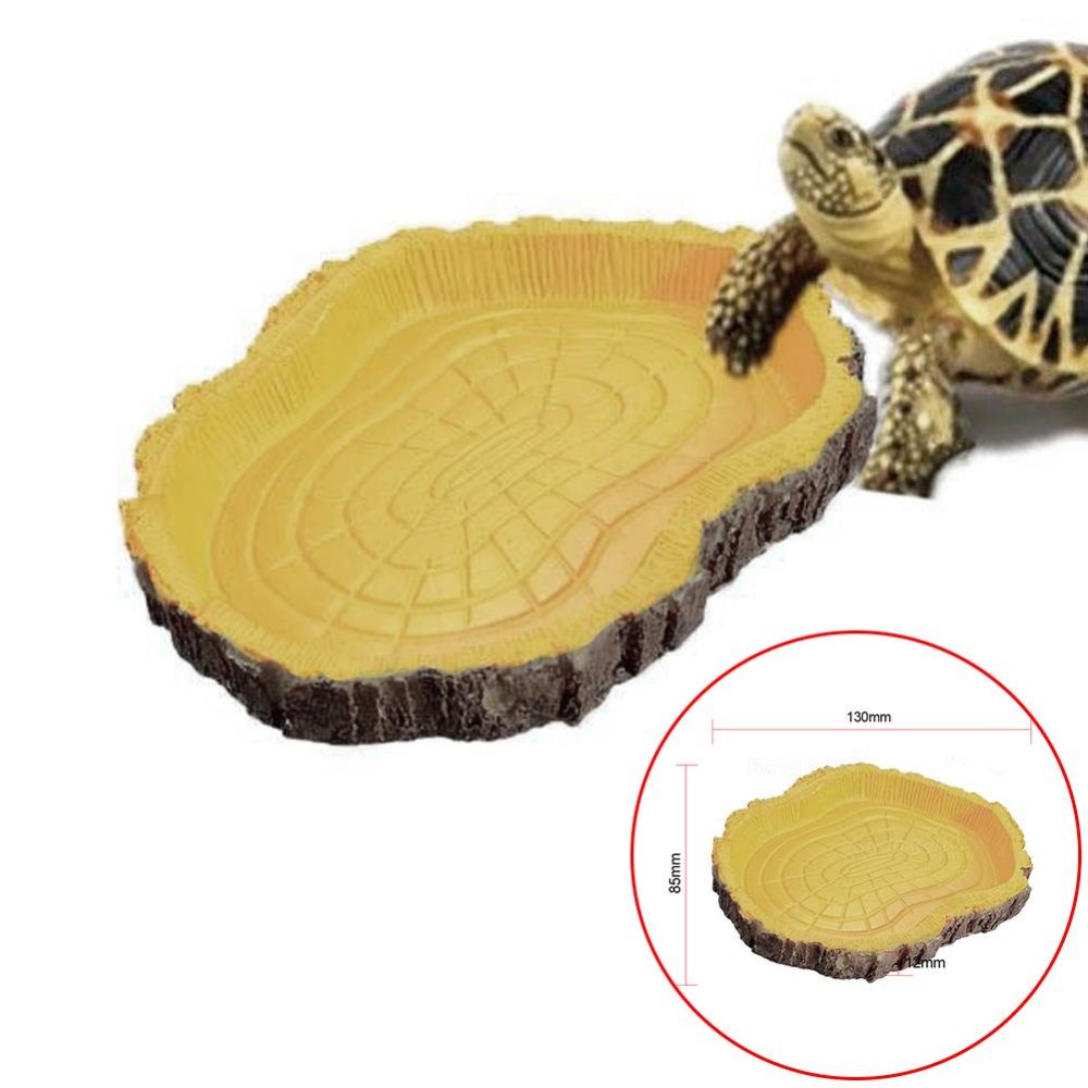 สัตว์เลื้อยคลานเต่าจานชามใส่อาหาร Amphibians ตุ๊กแกงู Lizard จานให้อาหาร - INTL