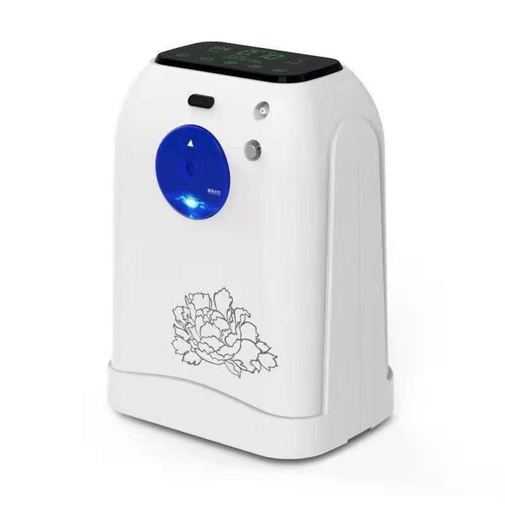 Foreign trade export oxygenerator oxygen claus oxygen machine small pregnant women family portable oxygen machine
