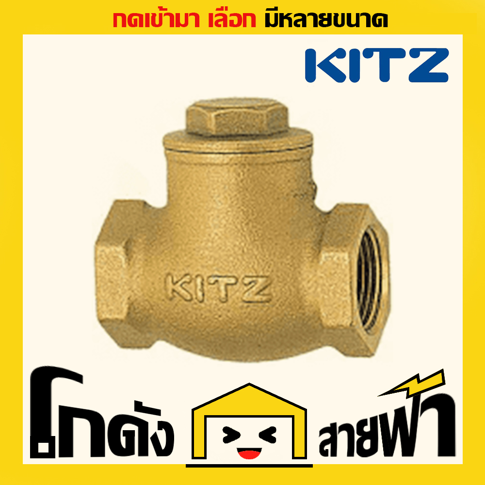 Kitz Swing Check Valve