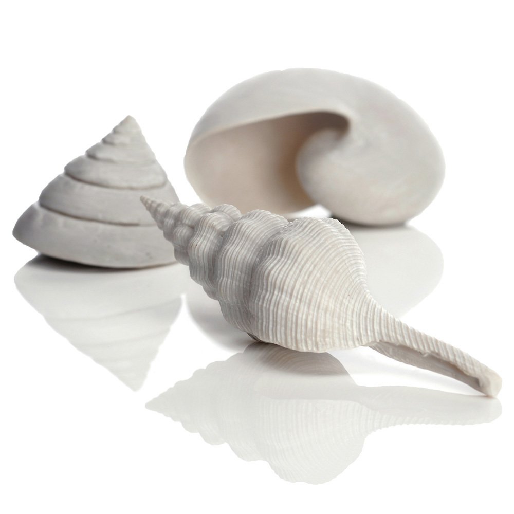 biOrb อุปกรณ์ตกแต่งตู้ปลา Sea shell set3 (White) biOrb อุปกรณ์ตกแต่งตู้ปลา Sea shell set3 (White)