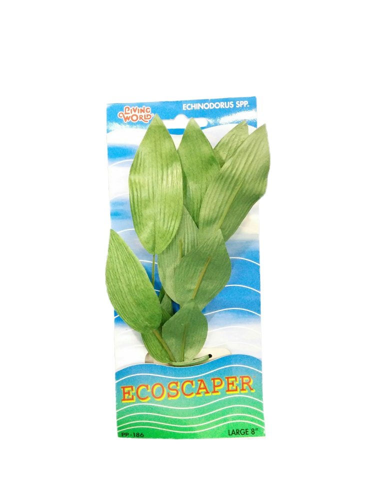 Hagen ต้นไม้น้ำ EcoScaper Echinodorus Silk Plant 20 cm (8")
