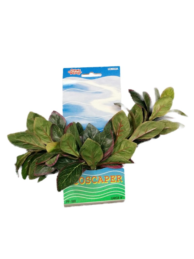 Hagen ต้นไม้น้ำ EcoScaper Lobelia Cardinalis Silk Plant 20 cm (8")