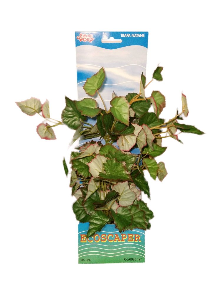 Hagen ต้นไม้น้ำ Ecoscaper Trapa Natans Silk Plant 30cm 12"