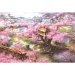 1000 ชิ้น 75x50 เซนติเมตรส่องสว่างปริศนาการ์ตูนปริศนากระดาษผู้ใหญ่สติปัญญาปริศนา - นานาชาติ 1000 ชิ้น 75x50 เซนติเมตรส่องสว่างปริศนาการ์ตูนปริศนากระดาษผู้ใหญ่สติปัญญาปริศนา - นานาชาติ