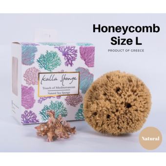 ฟองน้ำธรรมชาติ จากทะเลเมดิเตอร์เรเนียน ชนิด Honeycomb ขนาด L สีน้ำตาล