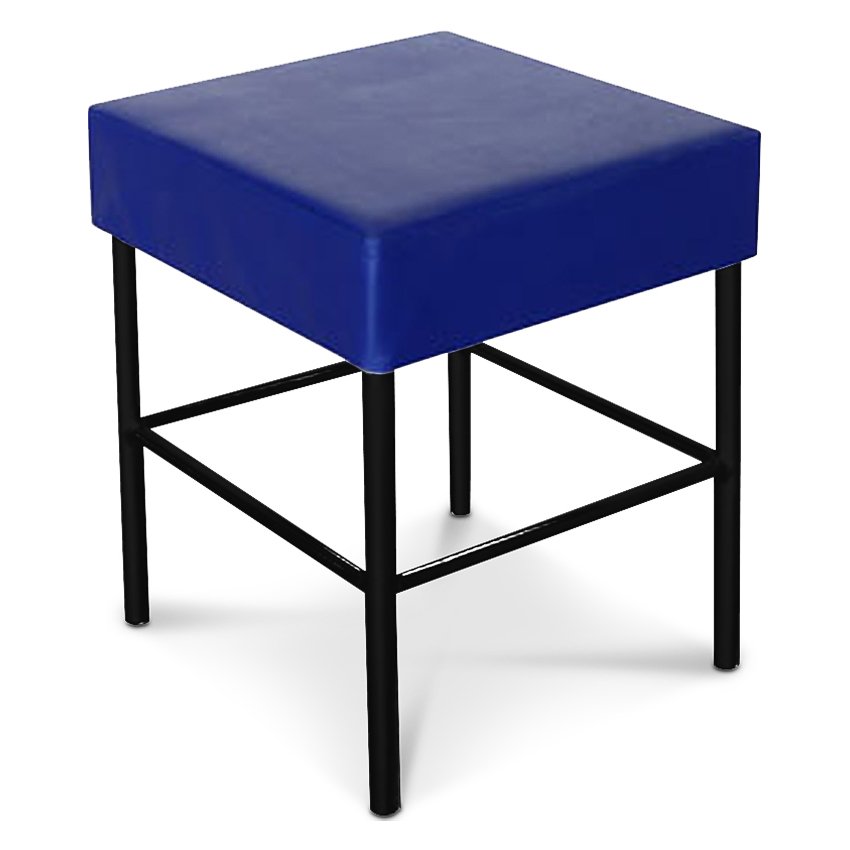 Inter Steel เก้าอี้เหล็ก ทรงสตูล ขนาดกลาง รุ่น Stool-M โครงดำ - เบาะสีดำ Inter Steel เก้าอี้เหล็ก ทรงสตูล ขนาดกลาง รุ่น Stool-M โครงดำ - เบาะสีดำ