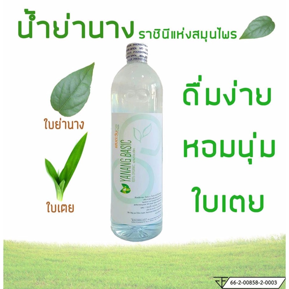 น้ำย่านางสกัดเข้มข้นหอมใบเตย ขนาด 1 แพค 1 ขวด ผสมน้ำดื่มได้ 7-15 ลิตร/1 ขวด ช่วยขับสารพิษและปรับสมดุลร่างกาย