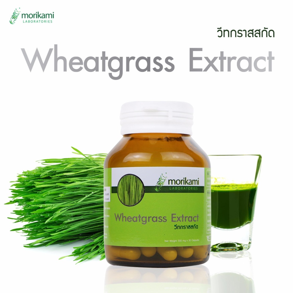โมริคามิ ลาบอราทอรีส์ คลอโรฟิลล์ วีทกราสสกัด 1 ขวด x 30 แคปซูล Morikami Laboratories Chlorophyll Wheatgrass Extract โมริคามิ ลาบอราทอรีส์ คลอโรฟิลล์ วีทกราสสกัด 1 ขวด x 30 แคปซูล Morikami Laboratories Chlorophyll Wheatgrass Extract