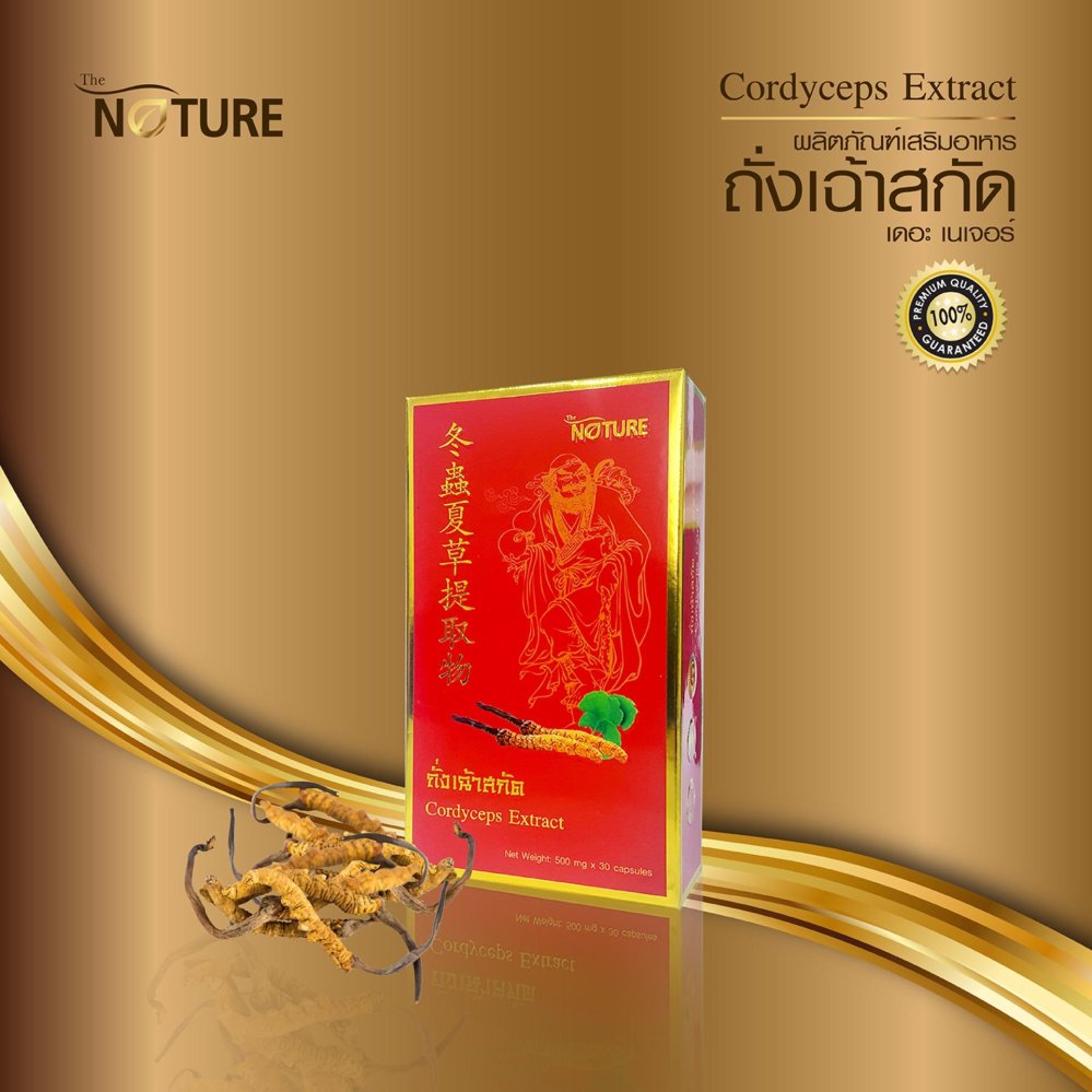 Cordyceps Extract The Nature เดอะเนเจอร์ ถั่งเฉ้าสกัด 1 กล่อง x 30 แคปซูล Cordyceps Extract The Nature เดอะเนเจอร์ ถั่งเฉ้าสกัด 1 กล่อง x 30 แคปซูล