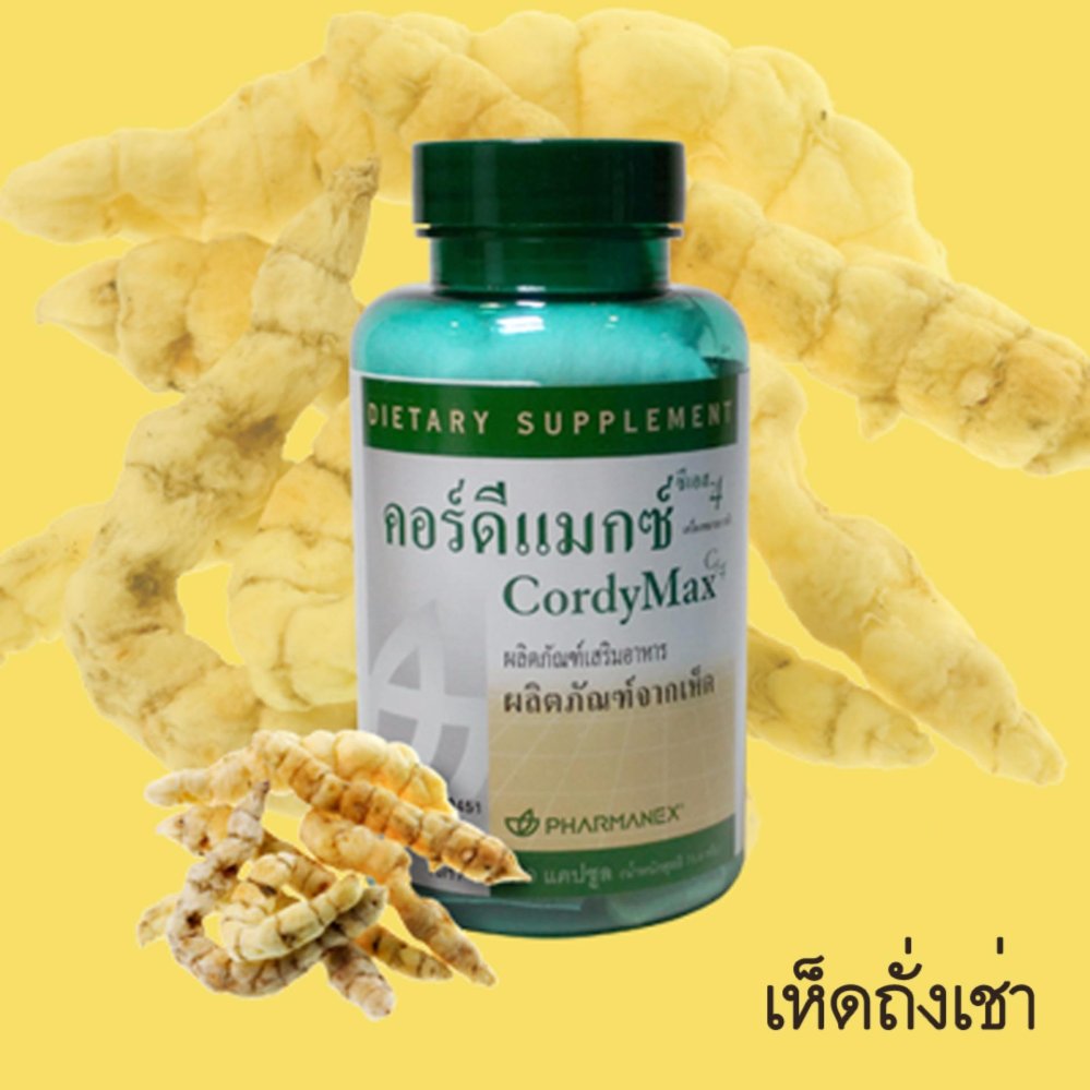 เห็ดถั่งเช่า คอร์ดีแม็กซ์ ซีเอส - 4