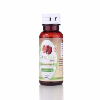 เห็ดหลินจือแดง Gano Pure ซ่อมเซลล์ ชลอวัย ต้านโรค(ราคาขายส่ง) เห็ดหลินจือแดง Gano Pure ซ่อมเซลล์ ชลอวัย ต้านโรค(ราคาขายส่ง)