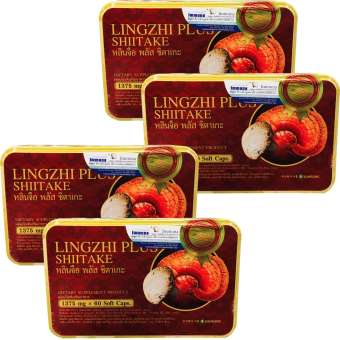 Lingzhi Plus Shiitake หลินจือ พลัส ชิตาเกะ (60 แคปซูล x4 กล่อง) Lingzhi Plus Shiitake หลินจือ พลัส ชิตาเกะ (60 แคปซูล x4 กล่อง)