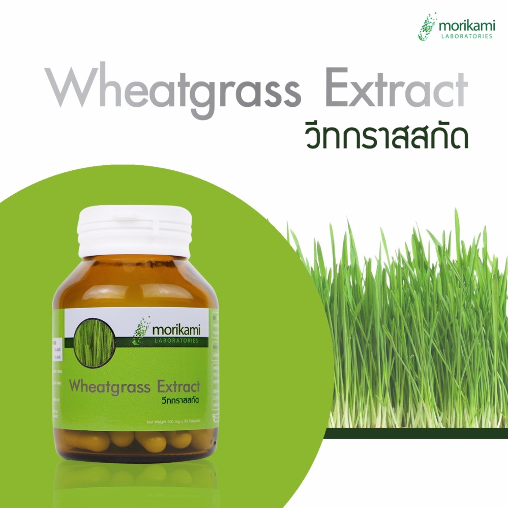 Morikami Laboratories โมริคามิ ลาบอราทอรีส์ 1 ขวด x 30 แคปซูล Chlorophyl Wheatgrass Extrac คลอโรฟิลล์ วีทกราสสกัด