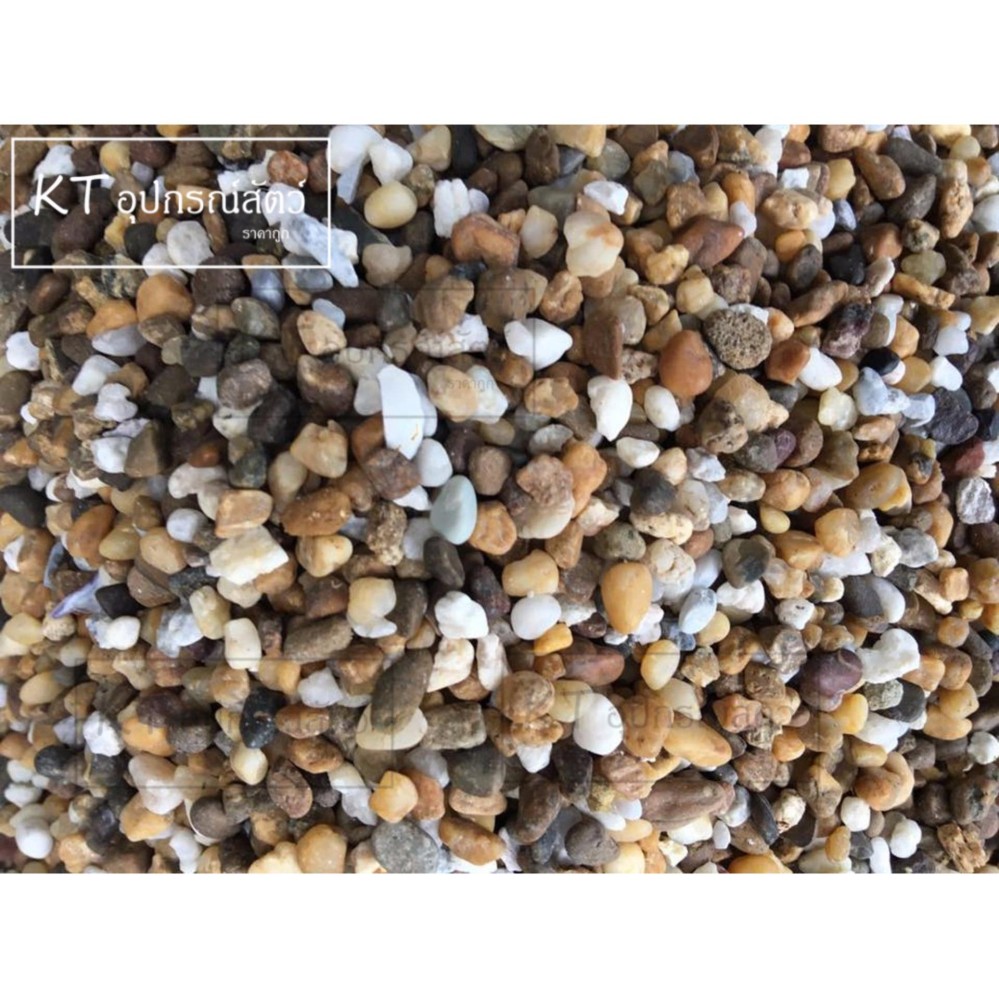 หินรองพื้นตู้ปลา คละสีธรรมชาติ 1กิโลกรัม หินรองพื้นตู้ปลา คละสีธรรมชาติ 1กิโลกรัม