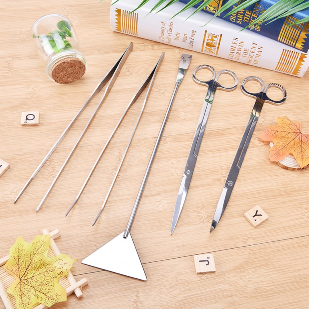 5pcs/Set Straight Curved Tweezer Scissor Algae Scraper Stainless Steel Aquarium Plant Tools Silver - intl