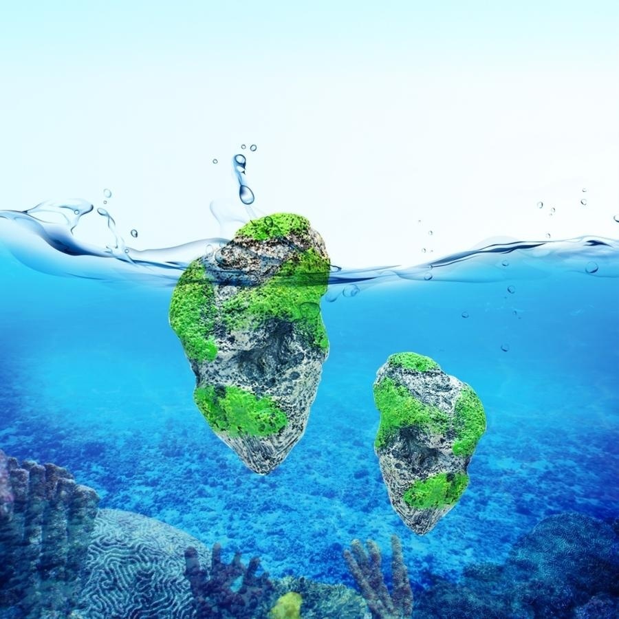 Aquarium ตกแต่งทุ่นรูปหินภูเขาไฟหินระงับปลาเทียม Acuarios MOSS Flying ROCK เครื่องประดับน้ำ Landscape, กลางขนาด: 8.7X14.3 เซนติเมตร - INTL Aquarium ตกแต่งทุ่นรูปหินภูเขาไฟหินระงับปลาเทียม Acuarios MOSS Flying ROCK เครื่องประดับน้ำ Landscape, กลางขนาด: 8.7X14.3 เซนติเมตร - INTL