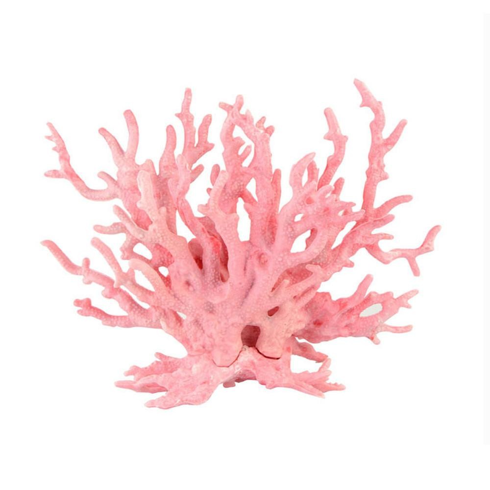 น้ำขนาดเล็กภูมิทัศน์ปะการังอ่อนสีชมพู - นานาชาติ น้ำขนาดเล็กภูมิทัศน์ปะการังอ่อนสีชมพู - นานาชาติ