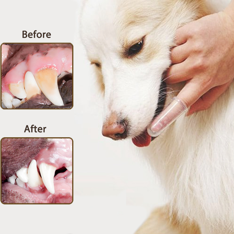 ยาสีฟันสำหรับสุนัข ชุดแปรงสีฟัน + ยาสีฟัน รสเนื้อ Pet Toothbrush ลดกลิ่นปาก ลดคราบหินปูน สำหรับสุนัขทุกสายพันธุ์ รสมินท์ ขนาด (100 กรัม/แพ็ค)【รับประกันหนึ่งปี】
