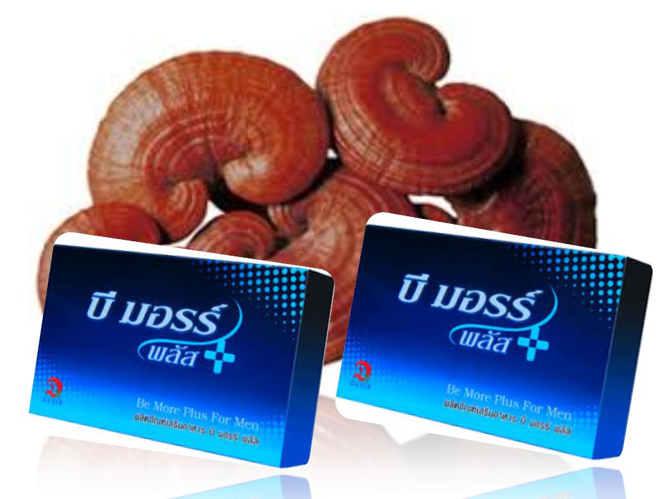 บี มอรร์ พลัส สำหรับผู้ชาย สกัดจากเห็ดหลินจือ กระชายดำ โสมเกาหลี ตังถั่งเฉ้า, แด๊กซิน (แพ็คคู่ 2 กล่อง)