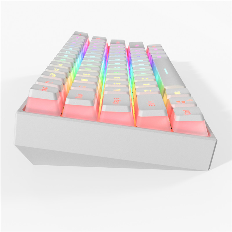 Gamakay MK61 Type C NKRO รอน Swapple แปนพมพแบบมสายแบคไลท RGB PBT