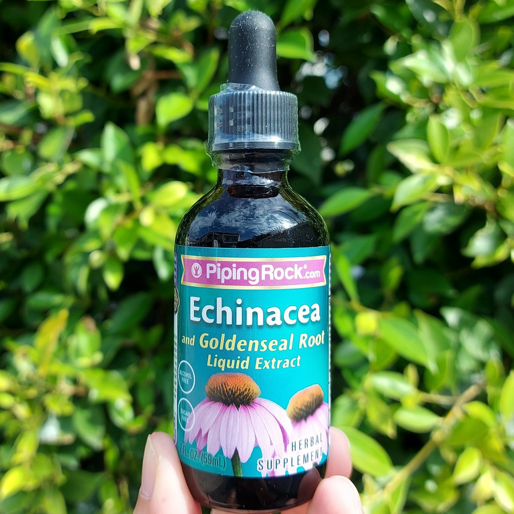 Echinacea Goldenseal Liquid