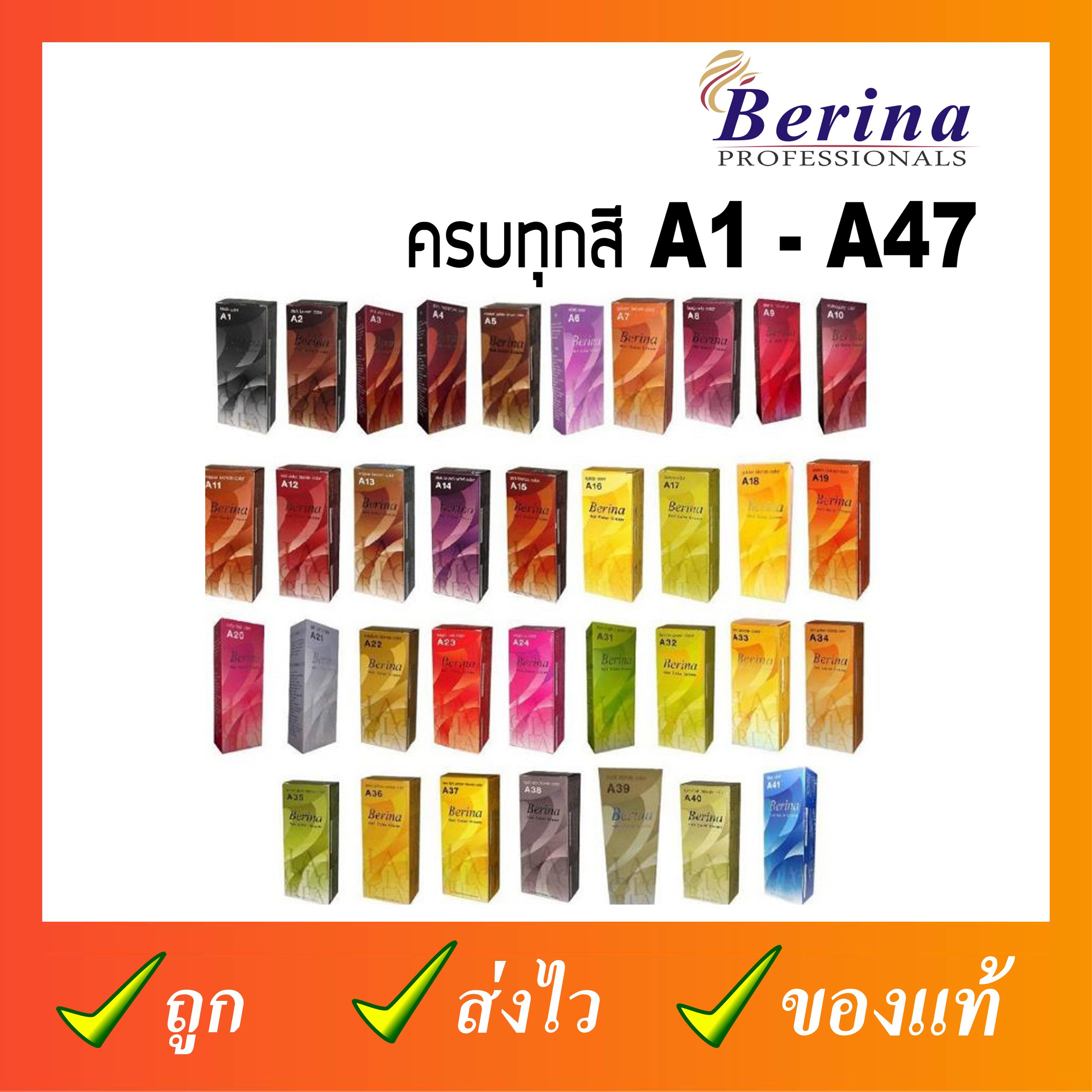 Berina Hair Color Cream / เบอริน่า ครีมย้อมผม 47 เฉดสี 60กรัม