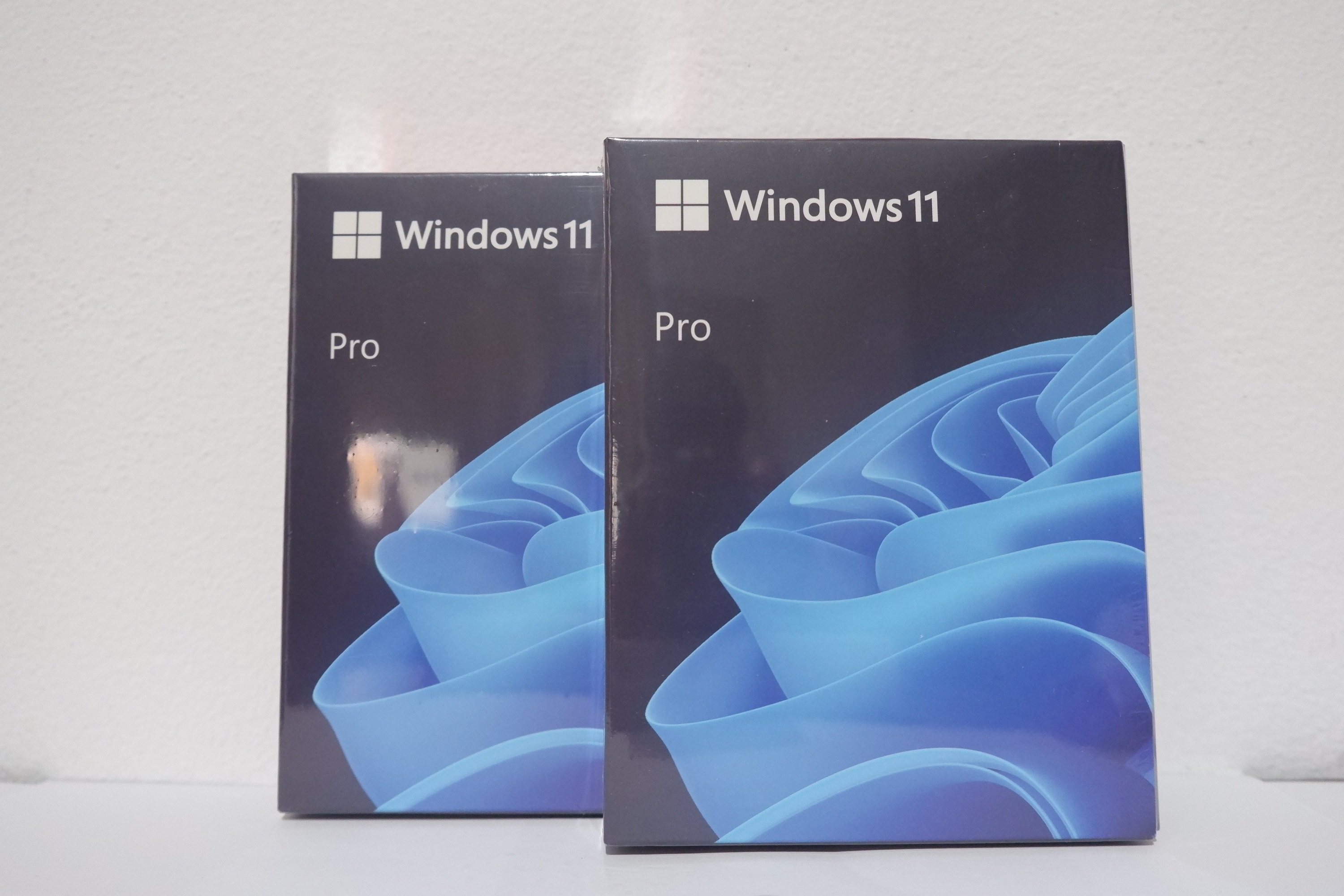 Windows Pro Bit Fpp Hav