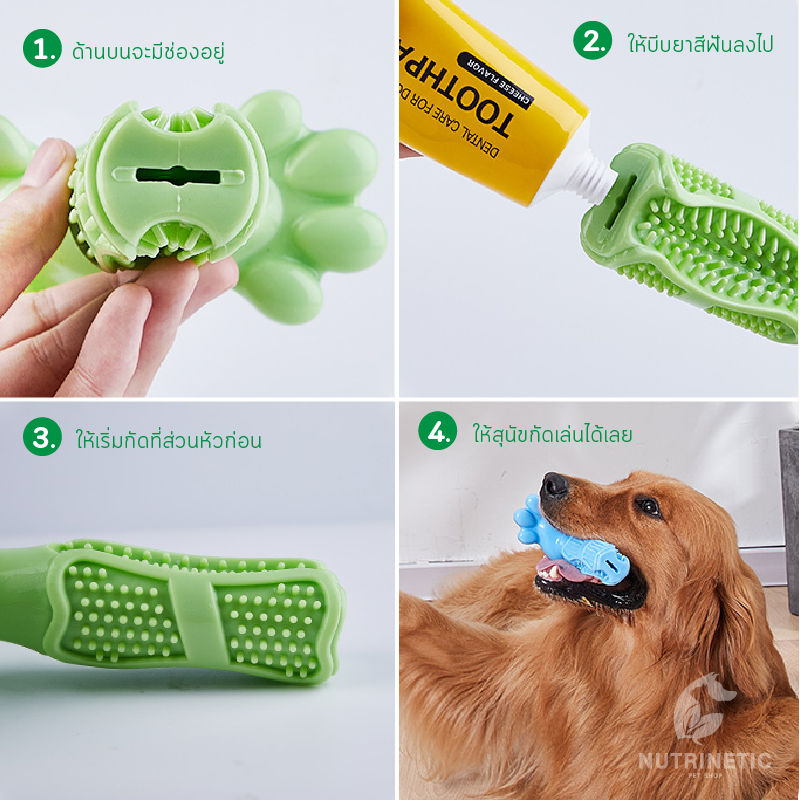 Rubber Floss แปรงสฟน ในรปแบบของเลนสำหรบสนข พรอมกบชดยาสฟน