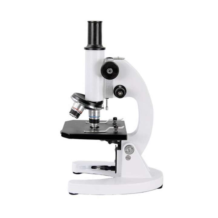 アイテムID:5190871の画像1枚目