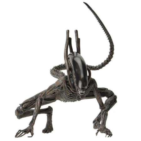 Figure ฟิกเกอร์ Anime เอเลี่ยน Alien ของสะสมหายาก อนิเมะ การ์ตูน มังงะ คอลเลกชัน จากการ์ตูนดังญี่ปุ่น ( New Collection ) ตุ๊กตาน่ารัก manga