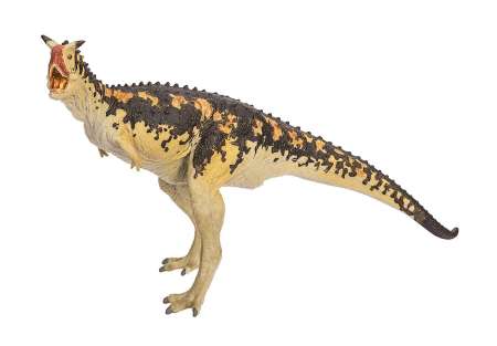 ปรึกษาสินค้า Safari Ltd. : SFR412301# โมเดลไดโนเสาร์ Carnotaurus
ตอนนี้กำลังลดราคา