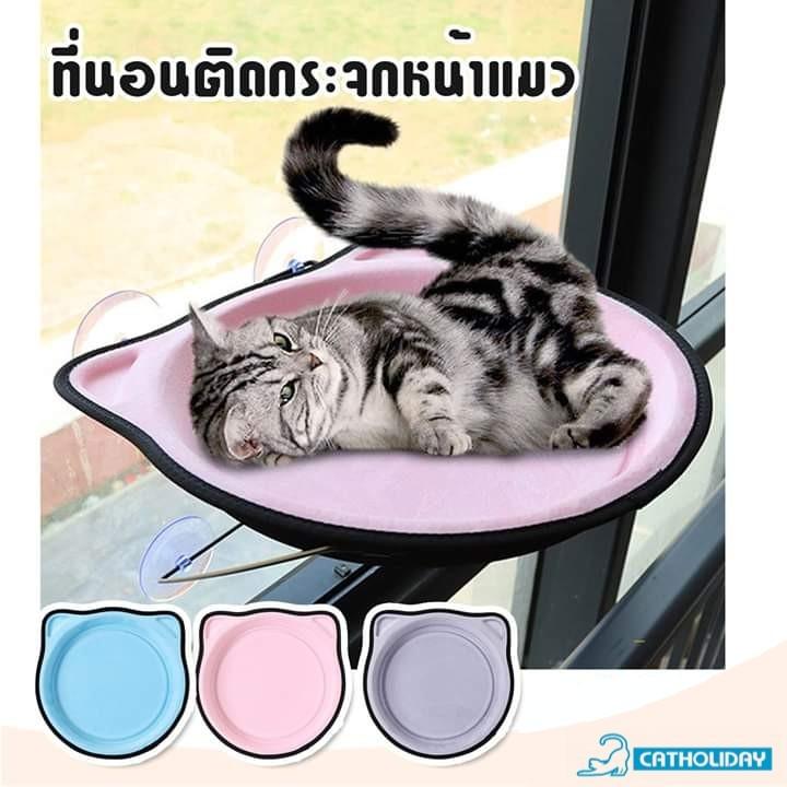 CatHoliday ชามแมวติดกระจก ที่นอนแมว ที่นอนแมวติดกระจก
