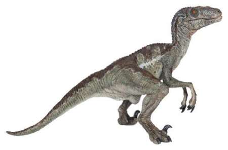 Papo : PPO55023* โมเดลไดโนเสาร์ Velociraptor