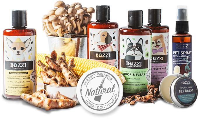 Bozzi Dog Shampoo แชมพูสุนัข สูตร Odor & Flea ขจัดกลิ่นตัว ป้องกันเห็บหมัด สำหรับสุนัขทุกสายพันธุ์ (300 มล./ขวด)