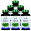 Herbal One พรมมิ Brahmi Bacopa 60 Cap. X6 Bottle