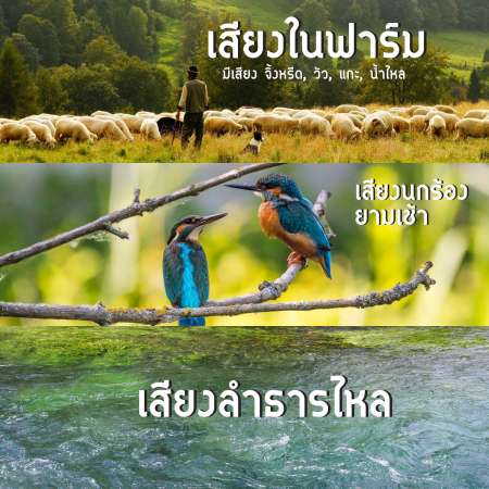 HHsociety นาฬิกา นาฬิกาปลุก นาฬิกาปลุกปรับแต่งเสียงธรรมชาติ 6 เสียง