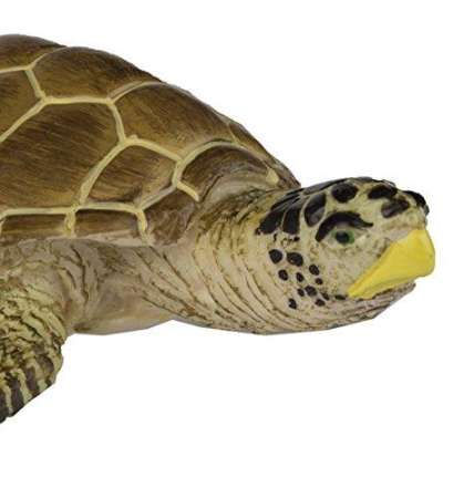 Safari Ltd. : SFR220229 โมเดลสัตว์ Loggerhead Turtle