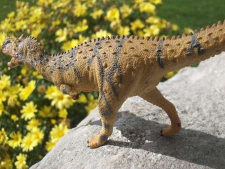 CollectA : CLA88555* โมเดลไดโนเสาร์ Rajasaurus Dinosaur Toy