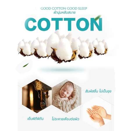 6 in 1 ชุดผ้าปูที่นอน ขนาด 6 ฟุต พร้อมนวม  ลาย DREAM เกรดพรีเมี่ยม ผ้าคอตต้อน ให้สัมผัสนุ่ม Soft สบายผิว by Wanderlust